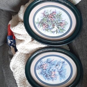 Don Kent '94 hummingbird pictures